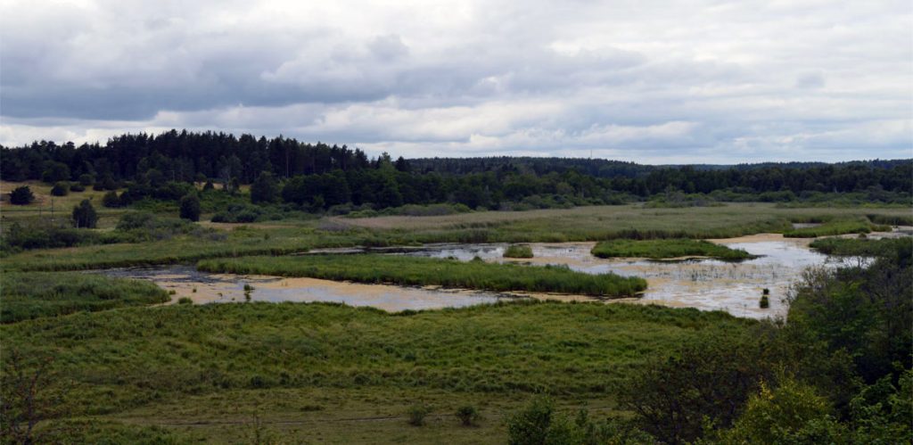 Gredelby Hagar Trunsta träsk i Knivsta