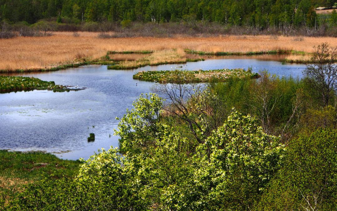 Naturpodden i Gredelby Hagar