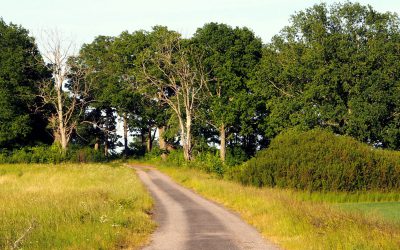 Valloxen – en cykeltur i herrgårdsmiljö