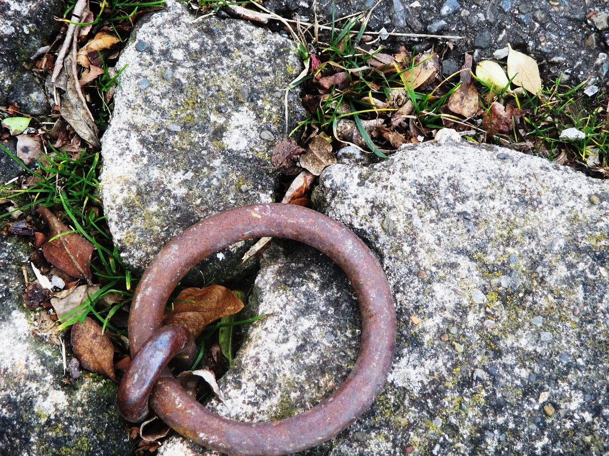 Urberget Spakbacken Långhundraleden Vikingar