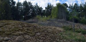 Gullhögen Långhundra