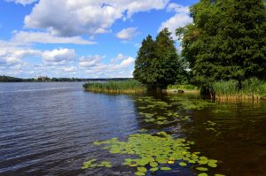 Nära Knivsta: Pilsbo Friluftsområde
