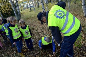 Knivsta Rotary plantering av Kungsängsliljor