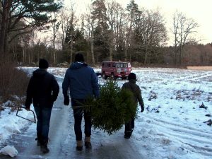 Hugg din egen gran - en spännande upplevelse för både stora och små.