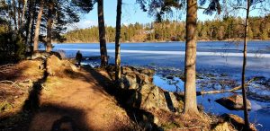 Vårpromenad sjön Valloxen Knivsta