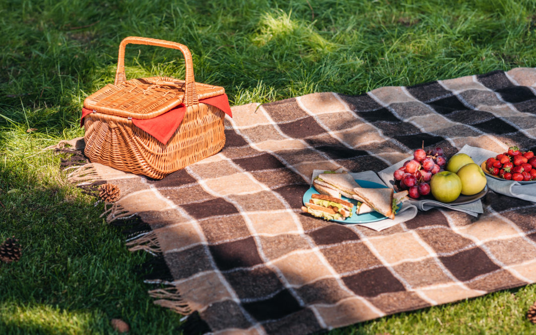 Picknick tips på utflykten i Knivsta!