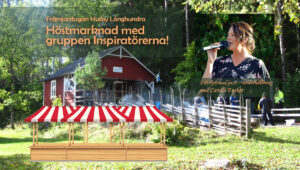 Höstmarknad i Husny-Långhundra