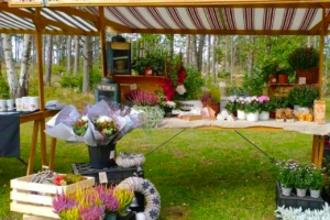 Höstmarknad med Inspiratörerna i Husby-Långhundra