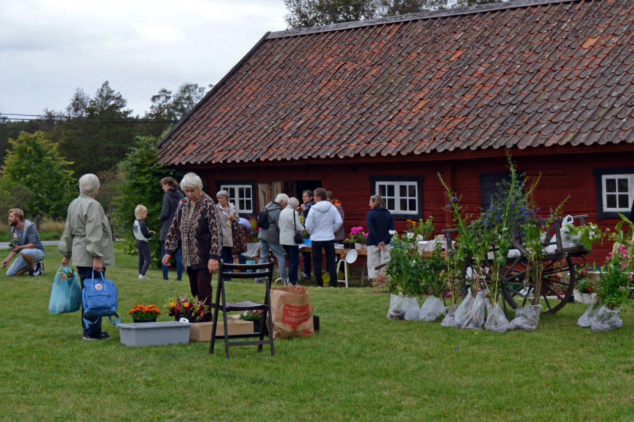 Knivsta Marknad: Växtmarknad på Kvarngården